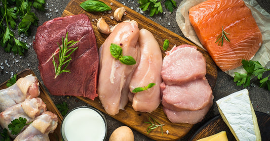 The Power Of Protein